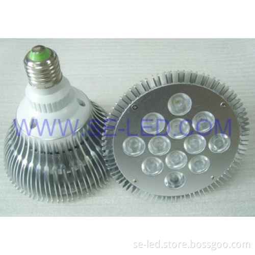 Epistar 12pcs*1W High Power LED PAR38 Lighting